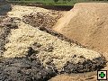 thn_NZ leden-unor 2006 131.jpg